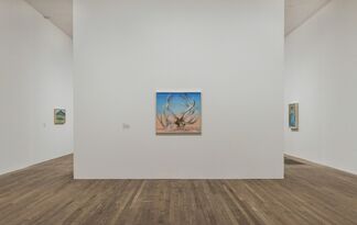 Georgia O’Keeffe, installation view