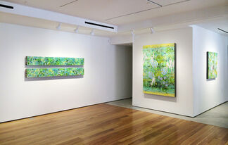 Betsy Stewart: Microscopic Cosmos, installation view