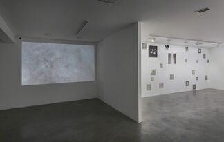 Chance and Necessity, installation view