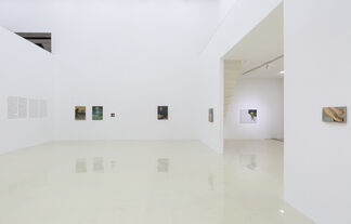 Ni Jun 倪军, installation view