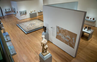 the Davis. ReDiscovered, installation view