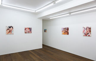 Laura Lancaster: Closer and Further Away, installation view