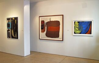 Abstracting from Nature, installation view