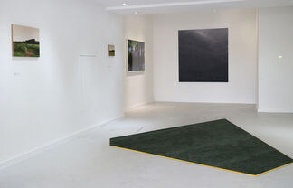 M I N D S C A P E S, installation view