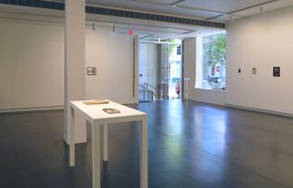 another furrow in the forehead, installation view