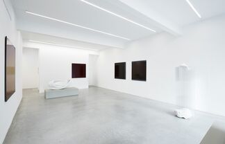 Carlesso | Serra, installation view
