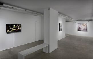 I Own You, installation view