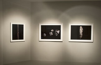 Edgar Lissel. Ruptures in the cinema of the mind -Encounters with Natura Naturans, installation view