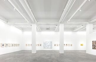 Zhang Hui, installation view