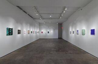 Sam Moyer: Naked as the Glass, installation view