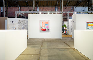 The Hermit Crab & the Gastropod, installation view