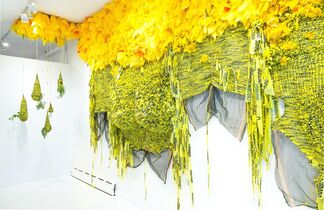 Borinquen Gallo: "Like a Jungle Orchid for a Lovestruck Bee", installation view