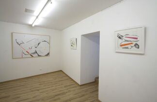 Zsófi Barabás' Exhibition: Urban Histology, installation view
