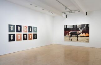 Mamma Andersson, installation view