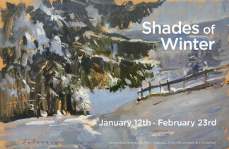 Shades of Winter, installation view