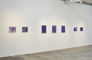 L.E. Kim: First Paintings, installation view