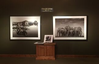Out of Africa, installation view