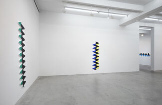 Terry Haggerty, installation view