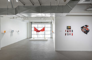 American Hex, installation view