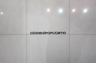 OJODEHIPOPÓTAMO, installation view