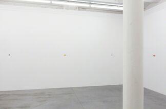 Michael Ross, installation view