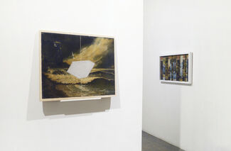 Taxonomy of a Landscape, installation view