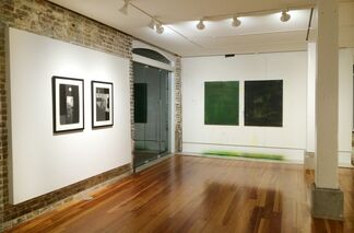 Alluvial Constructs, installation view