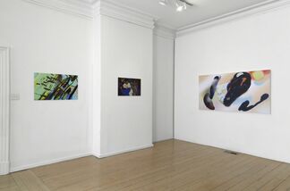 David Harley: free-form propositions #2, installation view