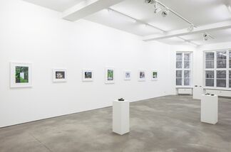 Karen Kilimnik, installation view