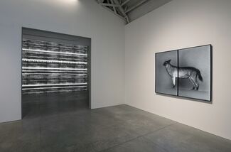 Michal Rovner: Evolution, installation view