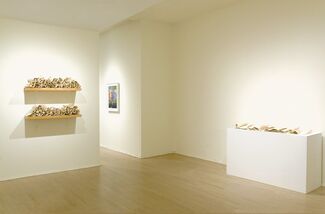 Carol Young, Scrolls and Sheets, installation view