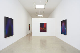 Rosha Yaghmai: Afterimages, installation view