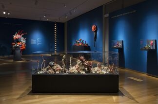 Crochet Coral Reef: TOXIC SEAS By Margaret and Christine Wertheim and the Institute For Figuring, installation view