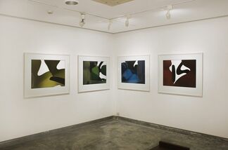 Allured - A Solo Show by Ashok Ahuja, installation view