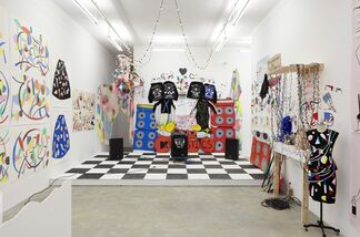 Nathan Carter: The DRAMASTICS and The Fascinators, installation view