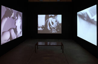 Andy Warhol: My Perfect Body, installation view