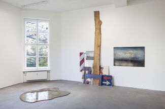 I Wish My Pictures, installation view