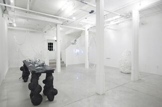 Parallel Universe // Leah Piepgras, installation view