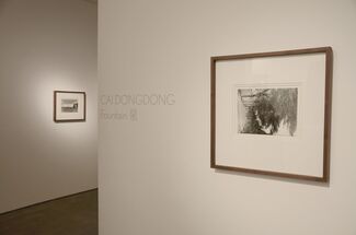 Cai Dongdong: Fountain 泉, installation view