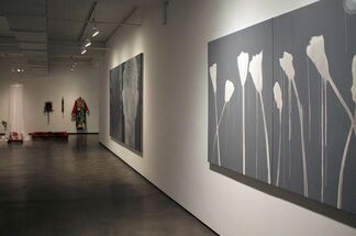 Arahmaiani: Shadow of the Past, installation view