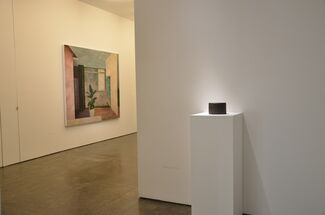 New voices: a dsl collection story, installation view