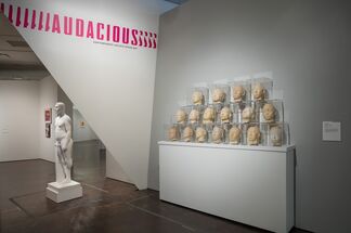 Audacious: Contemporary Artists Speak Out, installation view