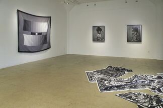 Stephanie Syjuco, Neutral Calibration Studies (Ornament + Crime), installation view