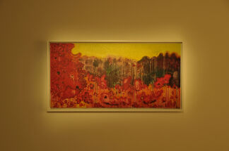 Acquisition from Fairy Mountain --- Shi Xinji Solo Exhibition, installation view