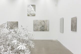 White Cube Jungle, installation view