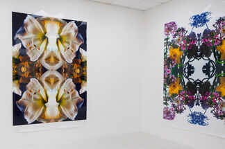 Todd Eberle FLOWERS (for Richard), installation view