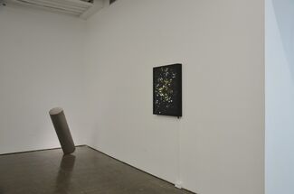 New voices: a dsl collection story, installation view