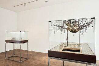 Sebastian Gordin | 'if animals didn't exist...', installation view