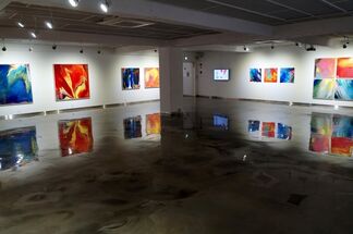 Kwon Hyun-jin Solo Exhibition, installation view