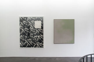 Use Your Illusion, installation view